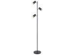 Stehleuchte Witmo In Schwarz Max. 5 Watt
