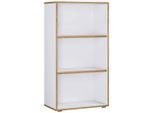 Aktenregal Salia B60 Honigeiche/weiss 60/110/33 cm