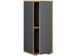 Aktenschrank Salia B30 Anthrazit, Honigeiche