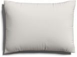 Kissenbezug SCHLAFGUT "EASY JERSEY Kissenhülle 100% Baumwolle, weicher Edel-Jersey, bügelfrei", beige (sand light), B:70cm L:90cm, Jersey, Obermaterial: 100% Baumwolle, Kissenbezüge, Kissenbezug, mit farblich angepasstem Reißverschluss, pflegeleicht, formstabil