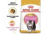 ROYAL CANIN Persian Kitten 4 kg