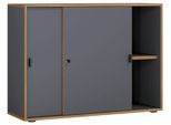Aktenschrank Salia B100 Anthrazit/Honigeiche