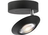 NEUHAUS PURE LED Deckenleuchte "PURE Oculis", schwarz pearl, 1, Ø 15cm H: 8cm, 1 Stk., Leuchten, Dimmfähig über separaten Tronicdimmer, dreh- & schwenkbar, LED Deckenleuchte