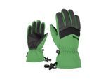 Skihandschuhe ZIENER "LETT AS(R) Junior", Damen, Gr. 3,5, grün, Kunstfaser, Handschuhe Skihandschuhe