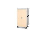Laptopwagen mit Ladefunktion, 2-Punkt-Verriegelung, CH-Stecker, Feststellbremse, 26 Fächer, B 920 x T 500 x H 1540, hellelfenbein