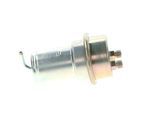 BOSCH Druckspeicher, Kraftstoffdruck 0438170004 für FERRARI Mercedes ROLLS-ROYCE PUCH