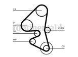 CONTINENTAL CTAM Wasserpumpe + Zahnriemensatz ct1163wp1 für Ford Peugeot DS