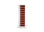 Laptopschrank mit Ladefunktion, 10 Abteile mit Zylinderschloss, CH-Stecker, Stahlblech lichtgrau RAL 7035/mah.braun RAL 8016