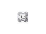 Gira USB-Spannungsversorgung 2f TypA/C Einsatz ws 234900)
