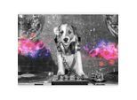 Fototapete DJ Dog Grau/Schwarz