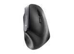CHERRY MW 4500 ERGONOMIE BLACK (JW-4500)
