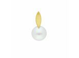 Kettenanhänger ADELIA´S "Perlenanhänger 333 Gold ( 8K )", gold, Schmuckanhänger, Damen, Gold, Kettenanhänger, Goldanhänger Perle