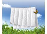 Microfaserbettdecke BILLERBECK "Liliane, Bettdecke 135x200 cm, 155x220 cm, Sommer, Winter", weiß, B:135cm L:200cm, Bezug: 100% Baumwolle. Meshfutter: 100% Polyester, Bettdecken, Microfaserbettdecke, Die kuschelige Faserdecke für den Winter