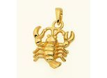 Kette mit Anhänger ADELIA´S "Damen & Herren 585 Gold Sternzeichen Anhänger Krebs", gold, Halsketten, Damen, Gold, Schmuckset - Set mit Halskette