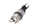 MIESSLERAUTOMOTIVE Luftfederbein 1170013905 vorne links für Porsche VW