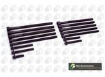 BGA Zylinderkopfschraubensatz bk0902 für BMW