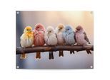 Poster REINDERS "Pastel Birds", bunt (farbe bild(er): mehrfarbig), B:80cm H:60cm T:0,1cm, Bilder, Poster, Garten - Gartenvögel - Mehrfarbig - Leinwand - Tiere - 80x60 cm