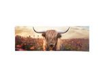Poster REINDERS "Spring Highlander", braun (farbe bild(er): braun), B:158cm H:53cm T:0,1cm, Bilder, Poster, Wohnzimmer - Schottischer Hochländer - Flora - 170 gr. Papier