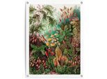 Poster REINDERS "Sea Flora", grün (farbe bild(er): grün), B:60cm H:80cm T:0,1cm, Leinwand, Bilder, Poster