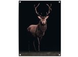 Poster REINDERS "Hirsch Sepia", braun (farbe bild(er): braun), B:60cm H:80cm T:0,1cm, Leinwand, Bilder, Poster