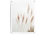 Poster REINDERS "Pampasgras", beige (farbe bild(er): beige), B:60cm H:80cm T:0,1cm, Leinwand, Bilder, Poster, Outdoor für Garten oder Balkon