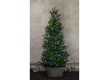 EGLO LED-Lichterkette "SERIE LED - Weihnachtsdeko - Beleuchtung - Winterdeko", schwarz (schwarz, bunt), Flammen 160 Stk., Gesamtlänge 0,2m, Lichterketten, Beleuchtung für innen und außen, buntes Lichternetz mit Kabel, 2 m, LED-Lichterkette