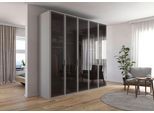 Kleiderschrank RAUCH "Schrank Garderobe SKAT SHINE Breiten 151/201/251/301cm, Höhe 223/235cm", seidengrau, B:251cm H:235cm T:61cm, Glas, Holzwerkstoff, Schränke, Kleiderschrank, edle Schrankfront mit hochwertigen Glasrahmentüren MADE IN GERMANY