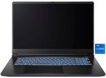 CAPTIVA Gaming-Notebook "Entry Gaming I10-1123GE", schwarz, 32 GB RAM 2.000 GB SSD, Core i7, Microsoft Windows 11 Home (64 Bit), Notebooks, Gaming-Notebook