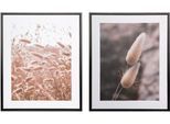 Bild mit Rahmen CREATIV HOME "Schilf", beige (farbe rahmen: schwarz, farbe bild(er): natur), B:40cm H:50cm T:2,5cm, Papier, Bilder, auf Canvas-Leinwand