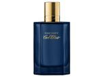 Davidoff Cool Elixir Herren Parfüm Spray - 100ml