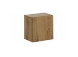 SCHRANK 1 Tür Holz