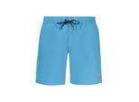 Noorwegen 1963 Azzurro Poliammide Heren Badshorts
