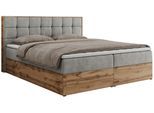 BOXBETT ALBERO 1 - 160/200 Grau Struktur - H4