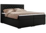 BOXBETT JASIR 120/200 - Schwarz Kunstleder - H4