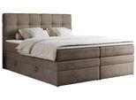 BOXSPRINGBETT ERNI KING 180/200 Braun Velvet - H3