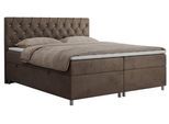 BOXBETT ROMA 180/200 - Braun Velvet - H4