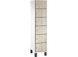 C+P Schliessfachschrank Cambio, 1 Abteil, 6 Fächer, auf Füssen, B 400 x T 525 x H 1980 mm, verkehrsweiss/Sen Esche‑Dekor