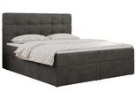BOXBETT ERNI 140/200 - Dunkelgrau Velvet - H3