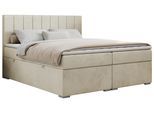BOXBETT ALLY 160/200 Beige Velvet - H3