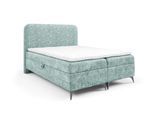 BOXBETT Triana Premium