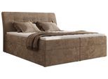 BOXBETT DAGOS 140/200 - Braun Schenille glatt - H4 - Topper T25