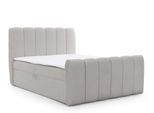 BOXBETT Denis Premium