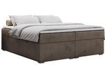 BOXBETT BESS 160/200 Braun Velvet - H3