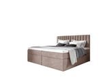 BOXBETT Linnea