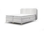 BOXBETT Avery Premium überlänge