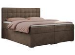 BOXBETT CARMEN 180/200 Braun Velvet - H4
