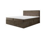 BOXBETT Hidis In Stoff Vito