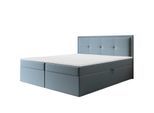 BOXBETT Degna