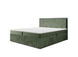BOXBETT Hidis In Stoff Vito