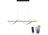 LED Pendelleuchte "Q-SWING", anthrazit, 1, 1 Stk., NEUHAUS Q SMART HOME LIGHTS, Leuchten, LED Pendelleuchte